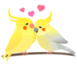 Lovely & Cute Cockatiels! sticker #1368079