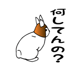 Bob rabbit sticker #1369110