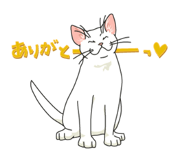 Let's play together! sticker #1370658