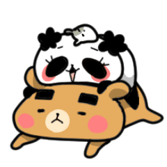 KUMAPANDA.
