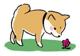 Dog HACHI sticker #1373047