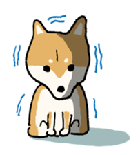 Dog HACHI sticker #1373048