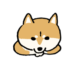 Dog HACHI sticker #1373053