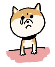 Dog HACHI sticker #1373065