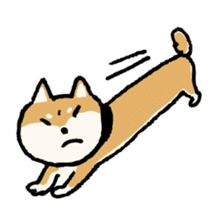 Dog HACHI sticker #1373067