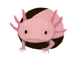 80's friends sticker #1374891