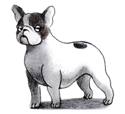 French Bulldog in the house  part1 sticker #1376052