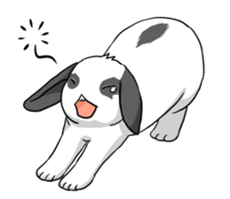 Rabbit Rabbit Rabbit! sticker #1377872