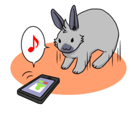 Rabbit Rabbit Rabbit! sticker #1377893