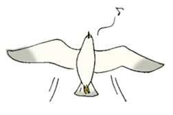 Umineko-san sticker #1380651