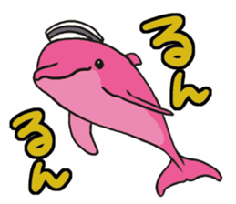 Pink Dolphin every day sticker #1382146