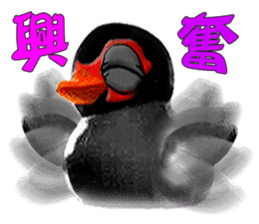 Taiwan Ginger Duck sticker #1382354