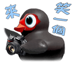 Taiwan Ginger Duck sticker #1382356