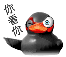 Taiwan Ginger Duck sticker #1382374