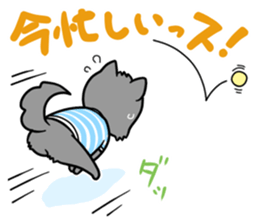LET'S GO Takkun! sticker #1382776