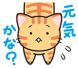 Combination cat sticker #1384512