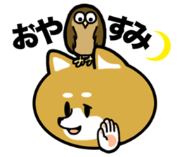 College student dog sticker #1386726