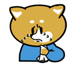 College student dog sticker #1386735