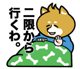 College student dog sticker #1386751