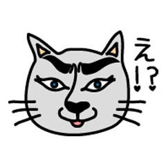 Cats have a good eyebrow