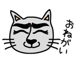 Cats have a good eyebrow sticker #1388650