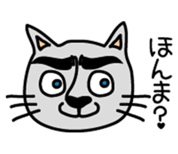 Cats have a good eyebrow sticker #1388654