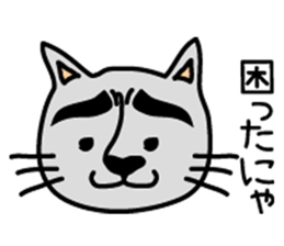 Cats have a good eyebrow sticker #1388674