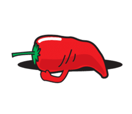 Gallassi sticker #1388875