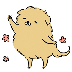 Soft and fluffy dog pu-chan!