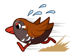 okipara collection sticker #1389949