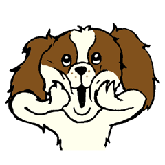 Cavalier King Charles Spaniel festival!