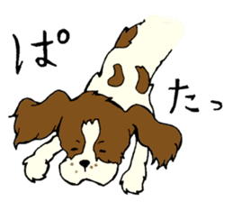 Cavalier King Charles Spaniel festival! sticker #1392011