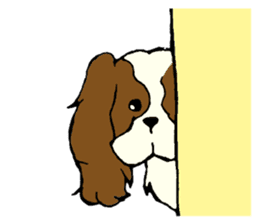 Cavalier King Charles Spaniel festival! sticker #1392015
