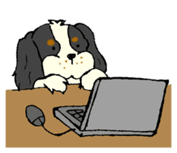 Cavalier King Charles Spaniel festival! sticker #1392018