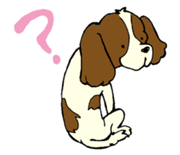 Cavalier King Charles Spaniel festival! sticker #1392020