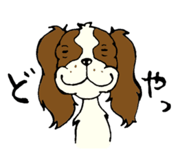 Cavalier King Charles Spaniel festival! sticker #1392022