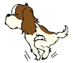 Cavalier King Charles Spaniel festival! sticker #1392023