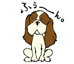 Cavalier King Charles Spaniel festival! sticker #1392024