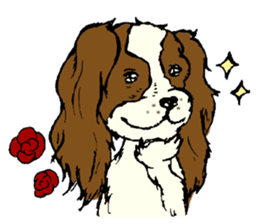 Cavalier King Charles Spaniel festival! sticker #1392026