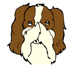 Cavalier King Charles Spaniel festival! sticker #1392028