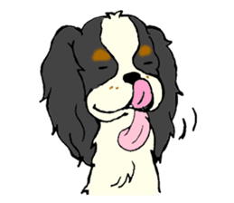 Cavalier King Charles Spaniel festival! sticker #1392031