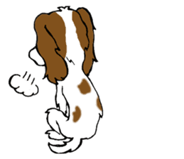 Cavalier King Charles Spaniel festival! sticker #1392032