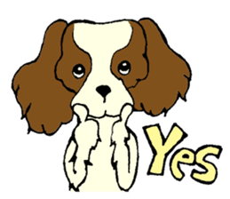 Cavalier King Charles Spaniel festival! sticker #1392034