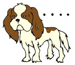 Cavalier King Charles Spaniel festival! sticker #1392038