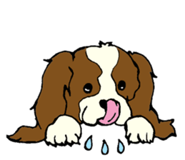 Cavalier King Charles Spaniel festival! sticker #1392039