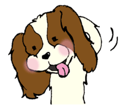 Cavalier King Charles Spaniel festival! sticker #1392041