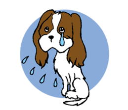 Cavalier King Charles Spaniel festival! sticker #1392042