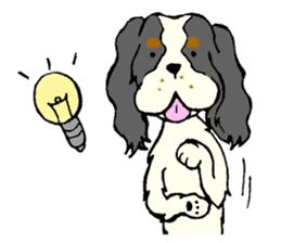 Cavalier King Charles Spaniel festival! sticker #1392043