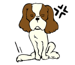Cavalier King Charles Spaniel festival! sticker #1392044