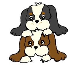 Cavalier King Charles Spaniel festival! sticker #1392046